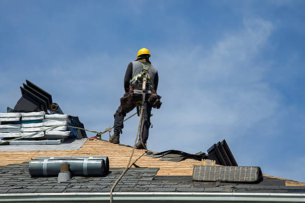 Professional Roof Replacement technician working in Durant, IA